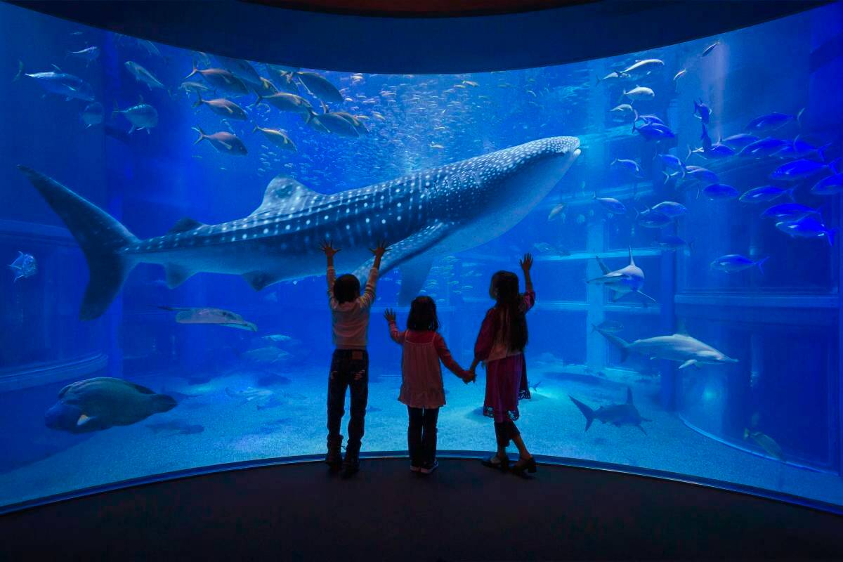 오사카 2박 3일 비 오는 날