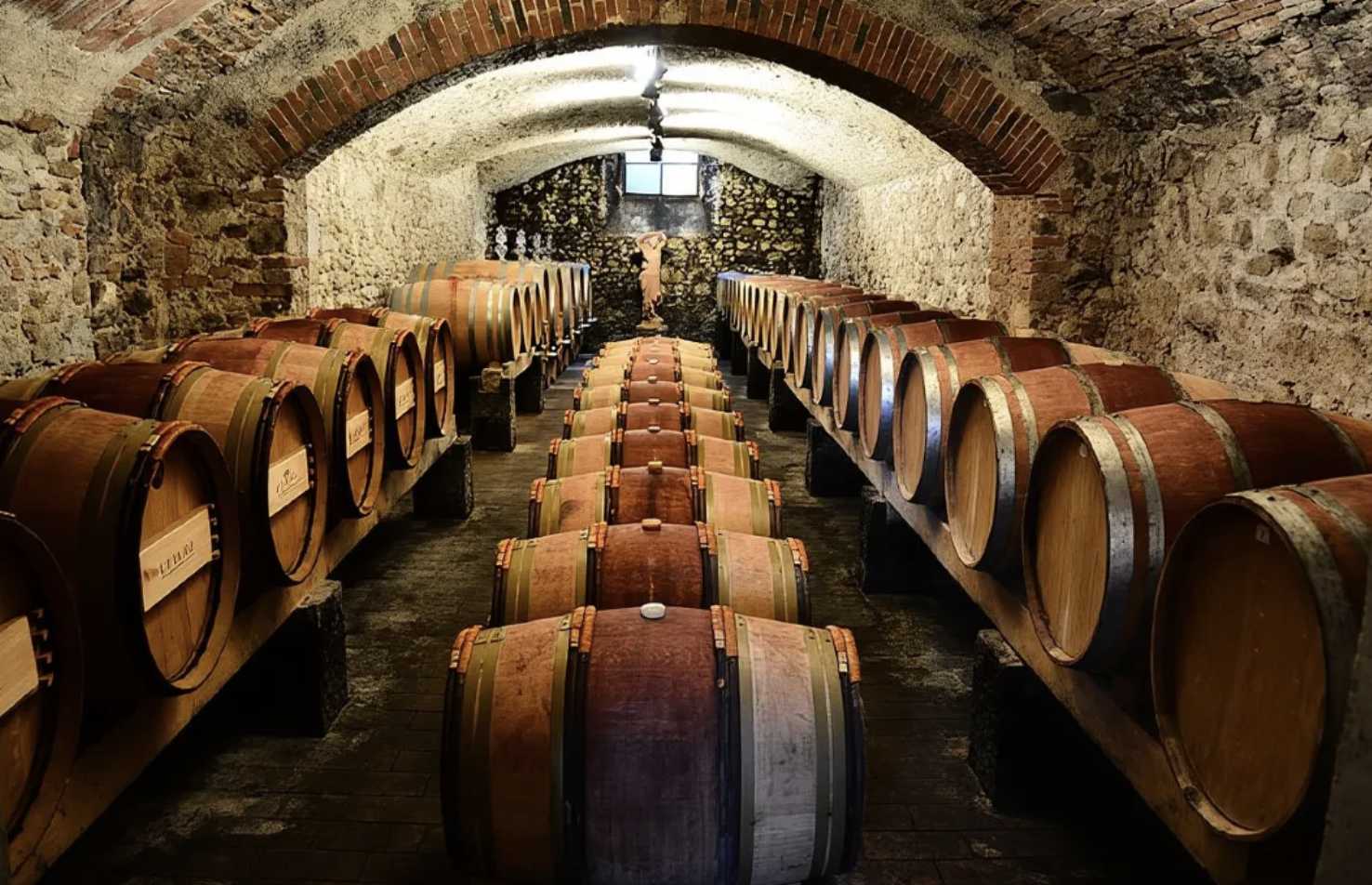 이탈리아 와이너리 투어