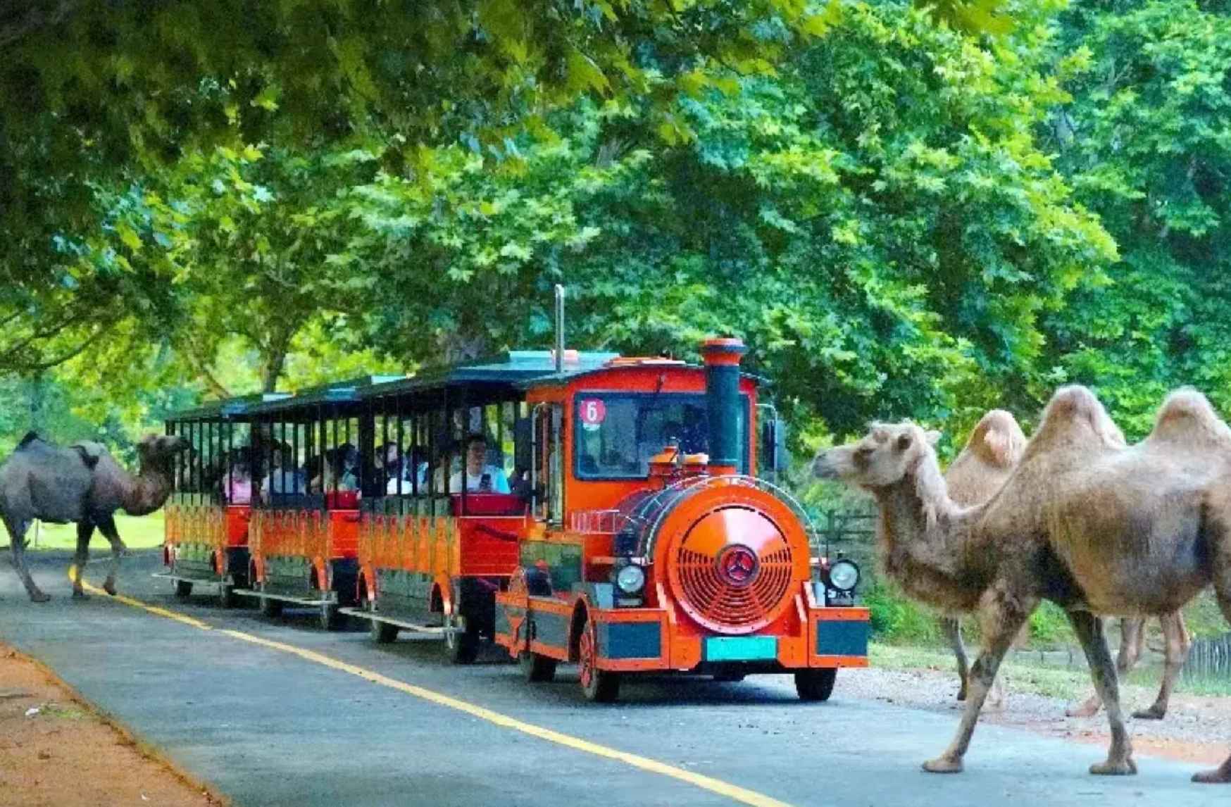 杭州野生動物世界