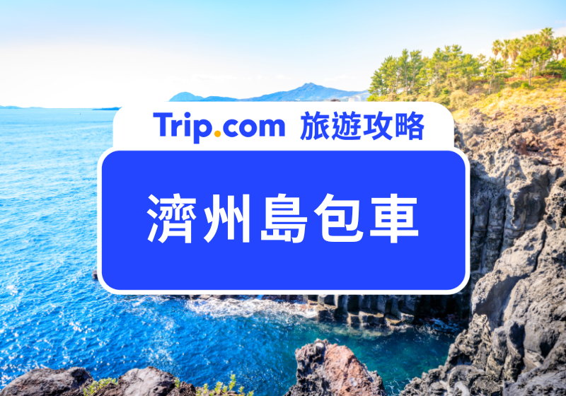 濟州島包車
