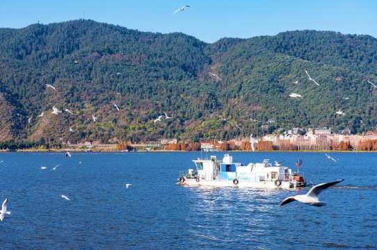 คุนหมิง