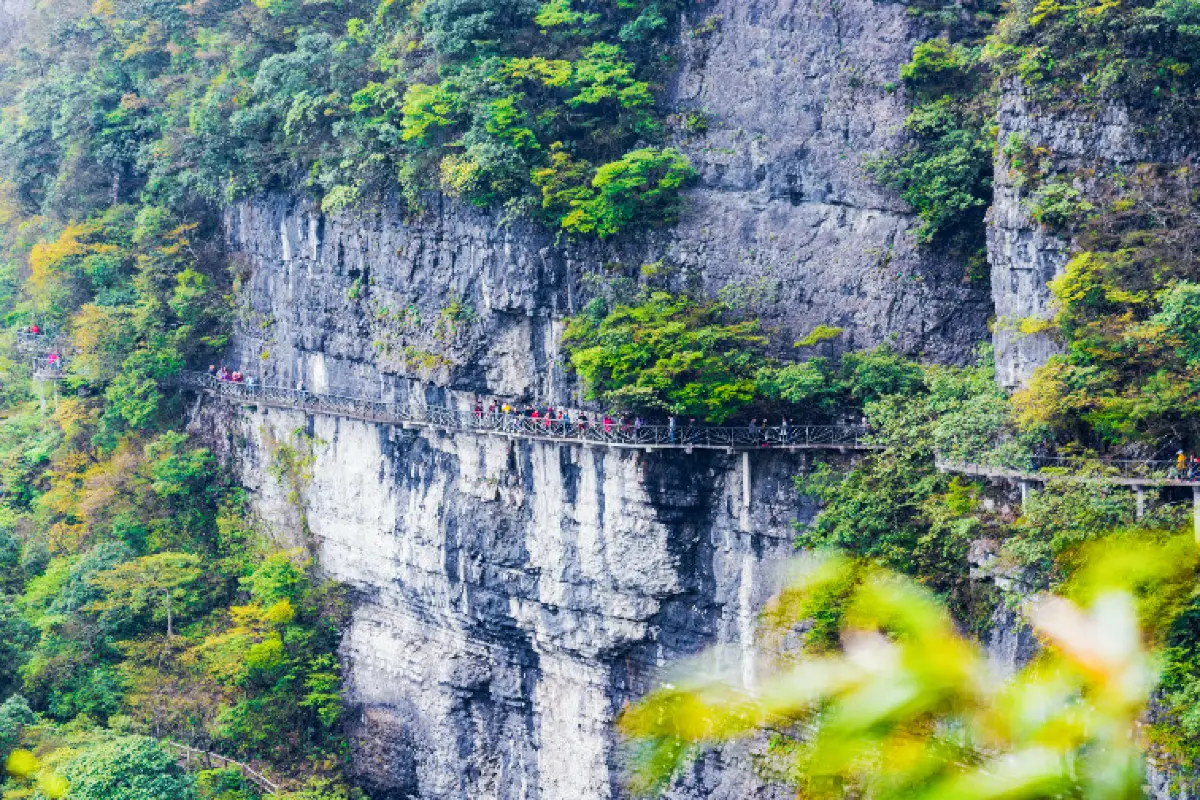 成都到重慶, 重慶景點, 金佛山