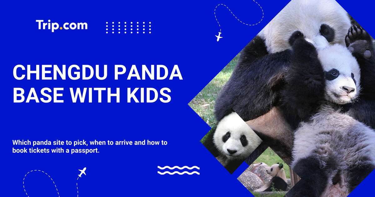Chengdu Panda Base with Kids