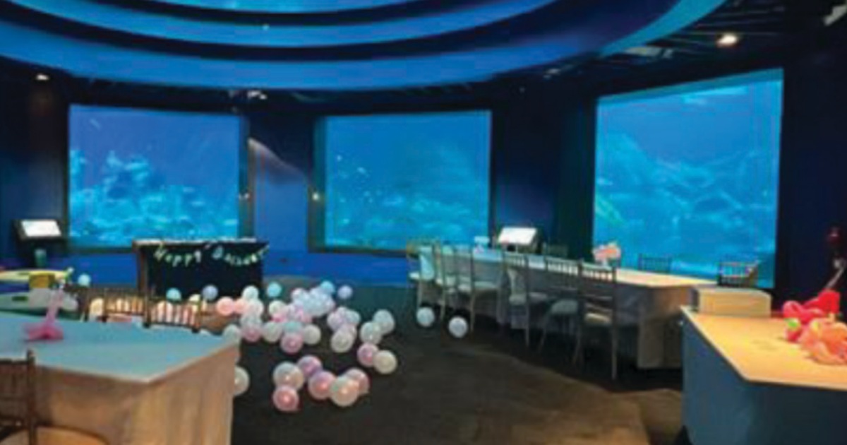 party at S.E.A. Aquarium