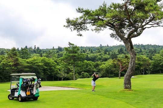 일본 골프 여행 패키지 vs 자유여행