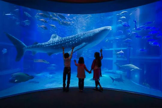 大阪海遊館