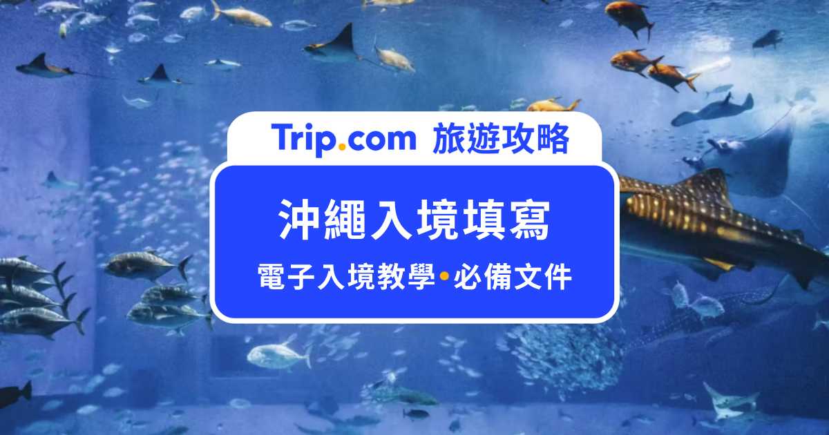 沖繩入境填寫怎麼填？最新 Visit Japan Web 教學！ | Trip.com