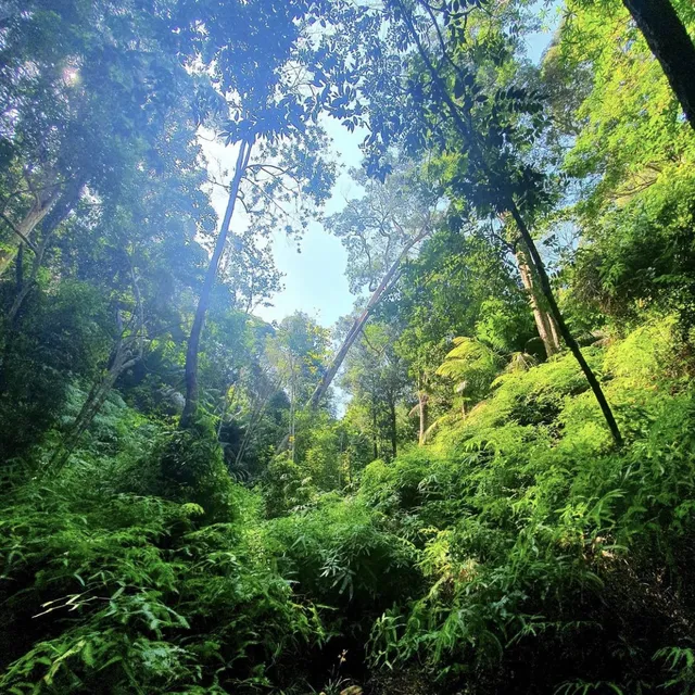 Penang National Park