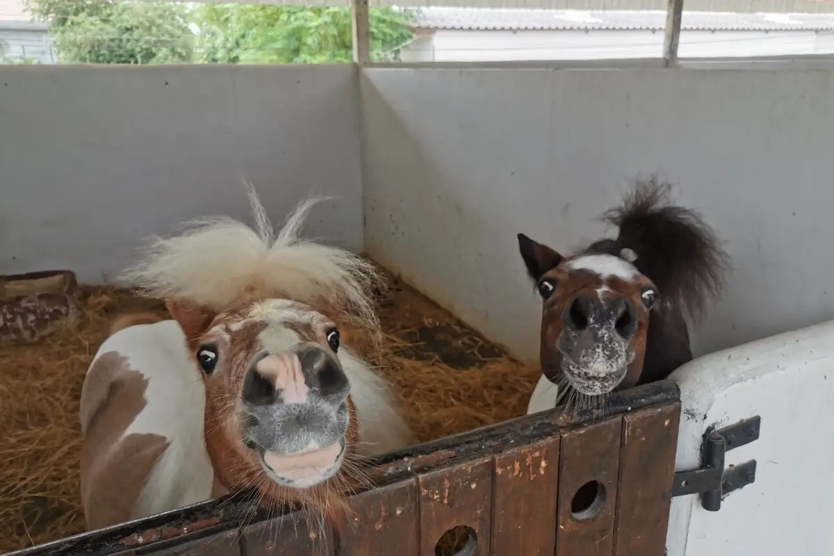 ที่เที่ยวพัทยา