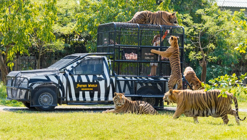 방콕 가족여행, 사파리 월드
