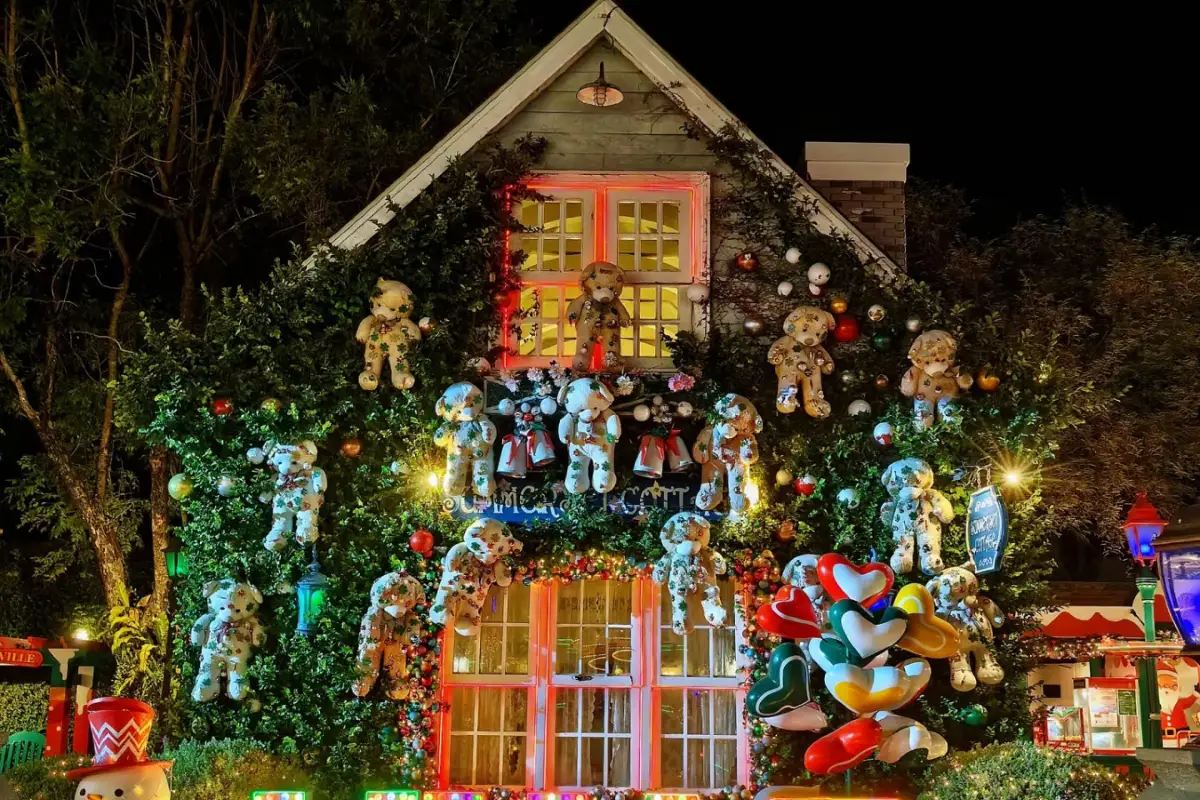 ธีมคริสต์มาส & ปีใหม่