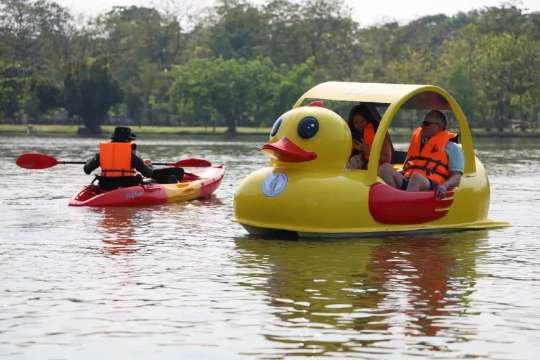 พายเรือเป็ดและคายัคในบึงน้ำ