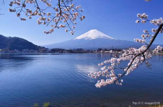 나홀로 여행 일본