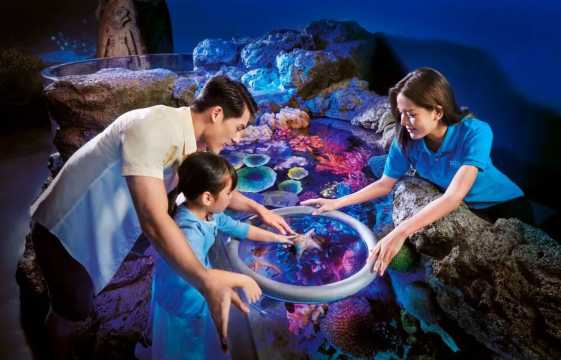 Sea Life Bangkok Ocean World (สยามพารากอน)