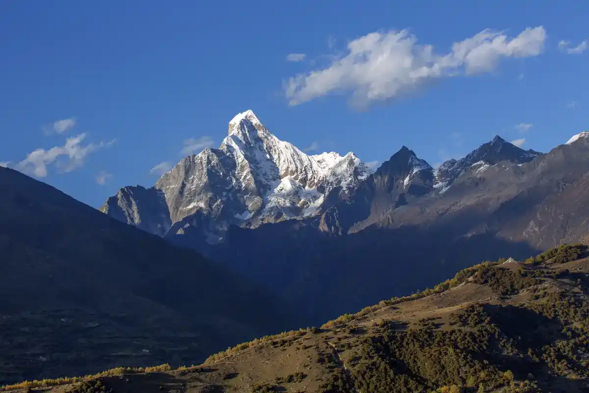 สะพานจมูกแมว