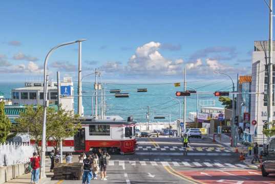 나홀로 여행 부산