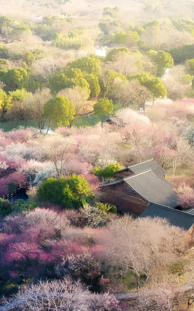 中國內地旅遊： 西溪國家濕地公園