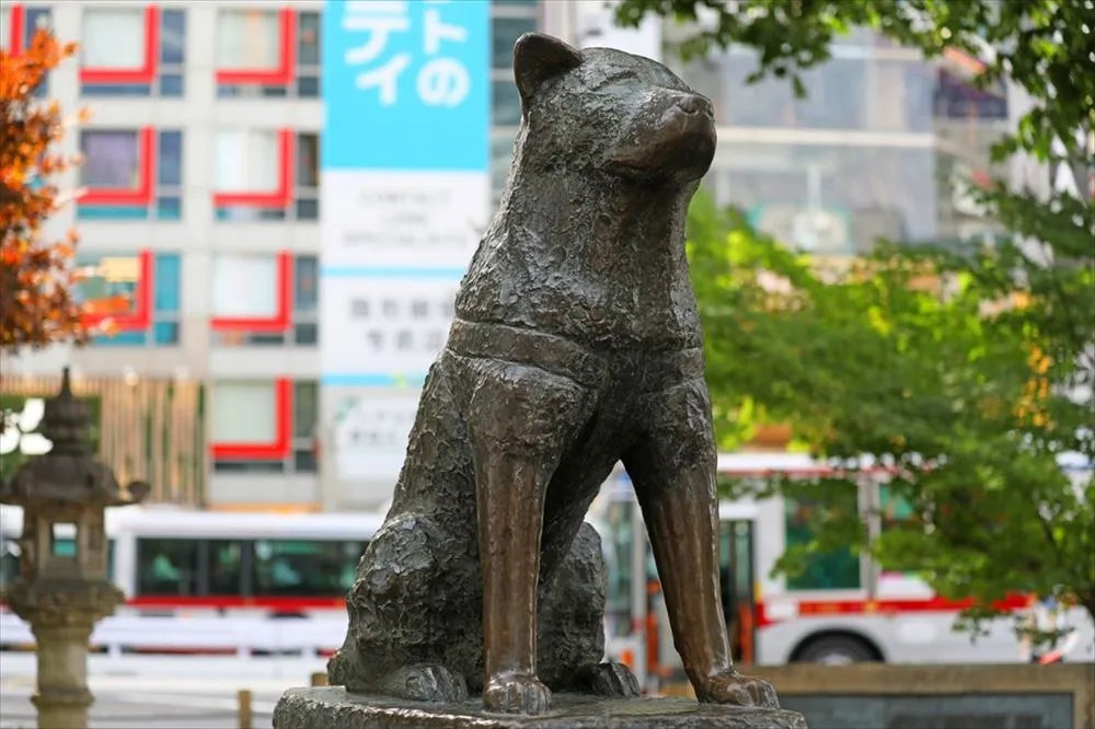 Image of Hachiko statue