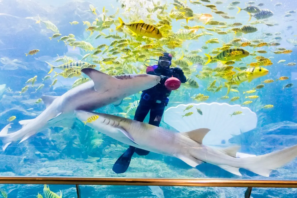 ที่เที่ยวพัทยา