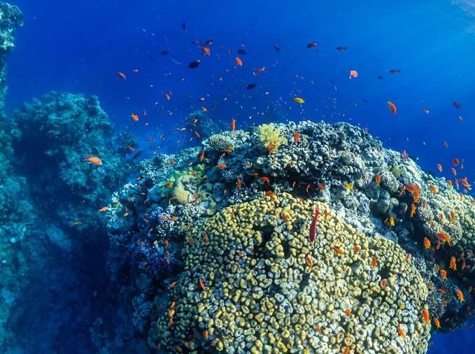 나트랑 여행시기 추천