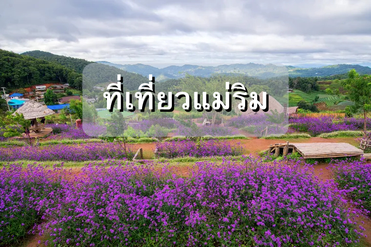 ที่เที่ยวแม่ริม