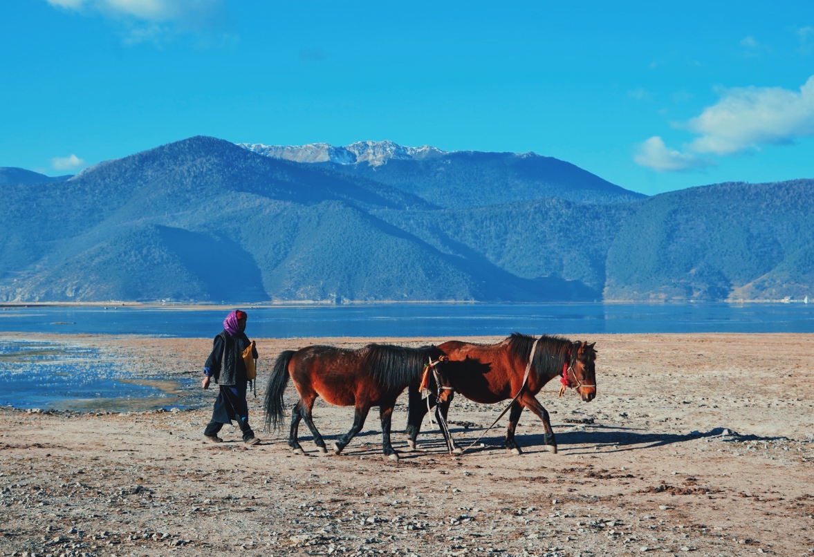 Shangri-La Horse Riding
