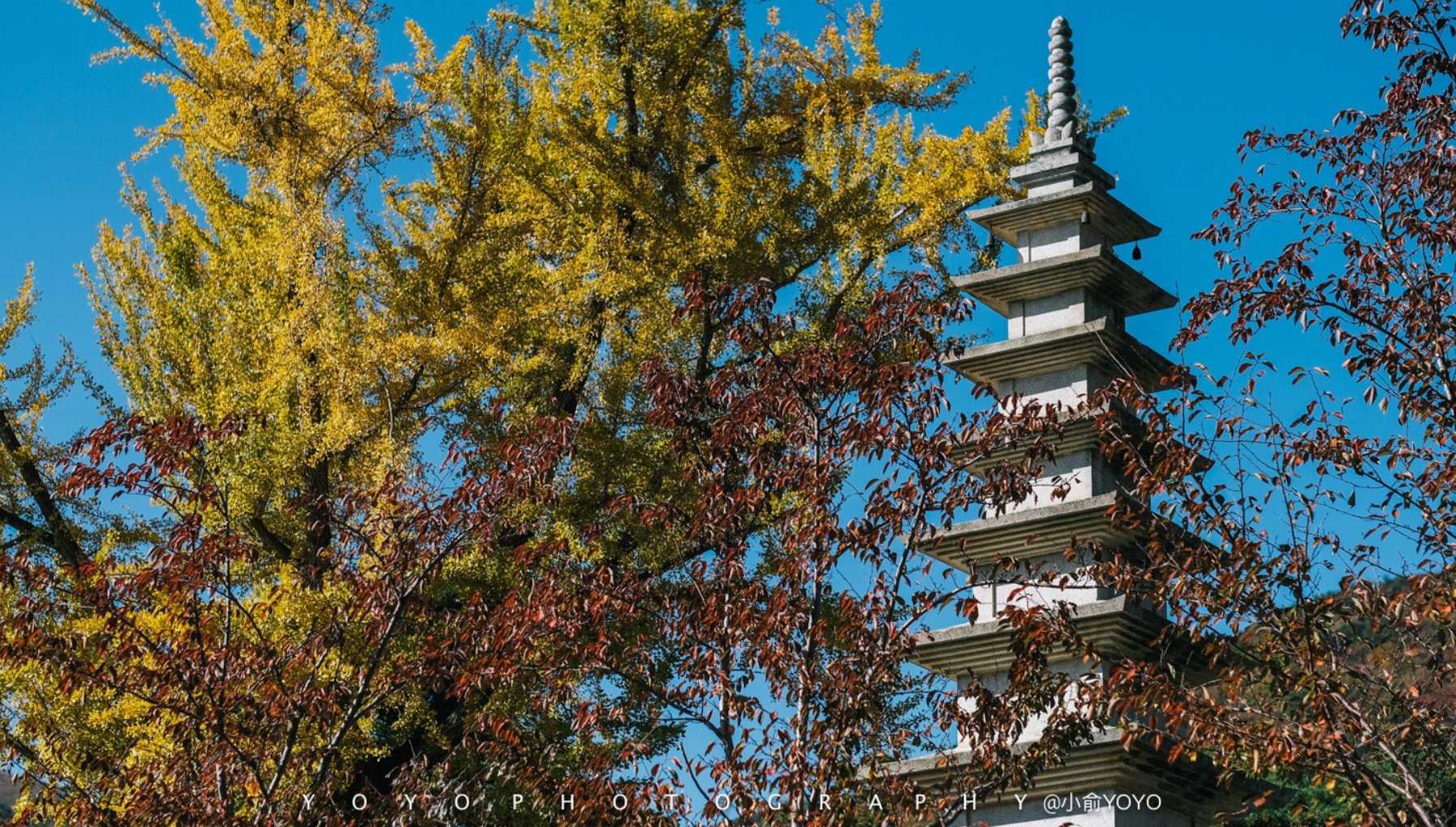 梵魚寺