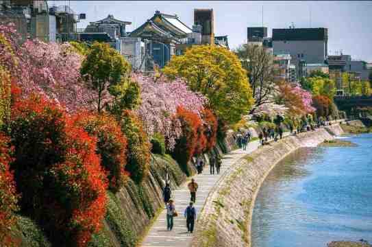 교토 날씨, 월별 기온