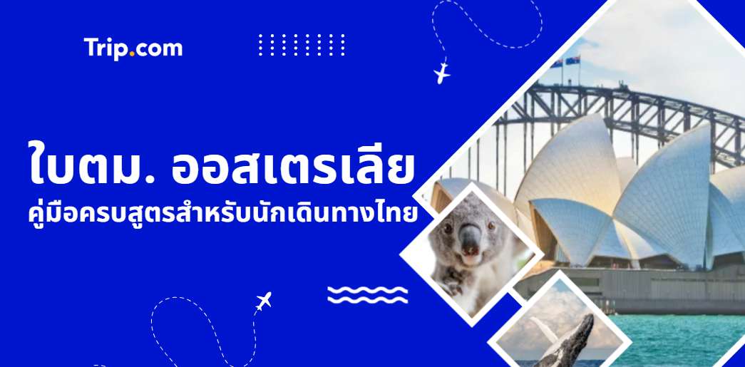 ใบตม. ออสเตรเลีย