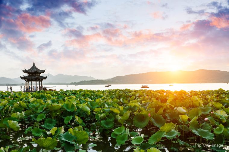 ทะเลสาบซีหู ในช่วงฤดูร้อน