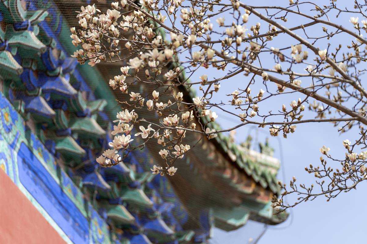 หอสักการะฟ้าเทียนถาน