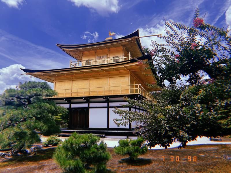 Kinkaku-ji, the Golden Pavilion, framed by trees
