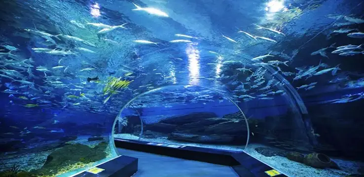 武漢景點, 武漢極地海洋公園