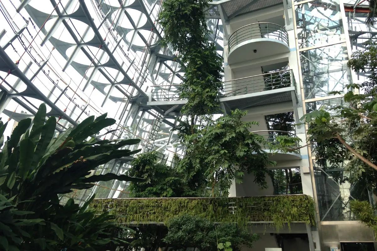 台灣自然科學博物植物園