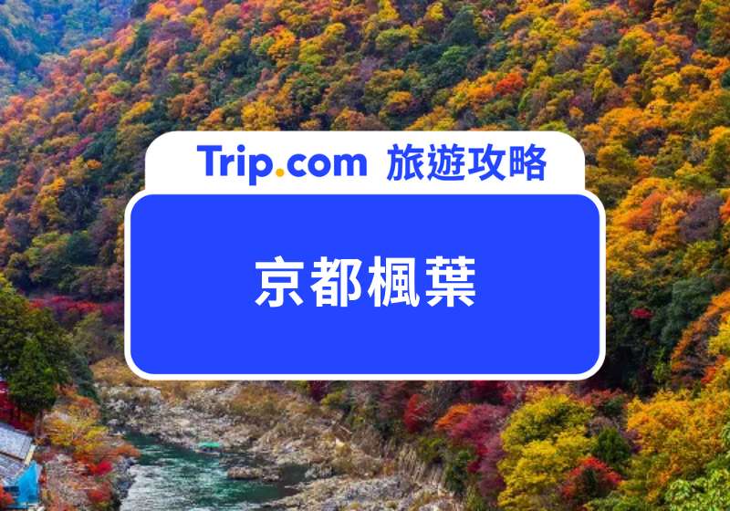 京都楓葉