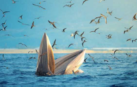 Is Beihai and the Guangxi coast worth visiting for a cheaper beach holiday?