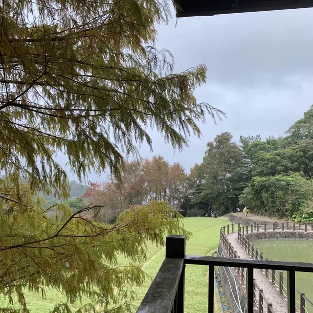 貓空纜車附近必遊景點#3 樟樹步道