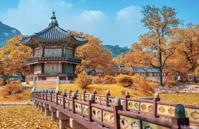 首爾景點 #18 景福宮|北區