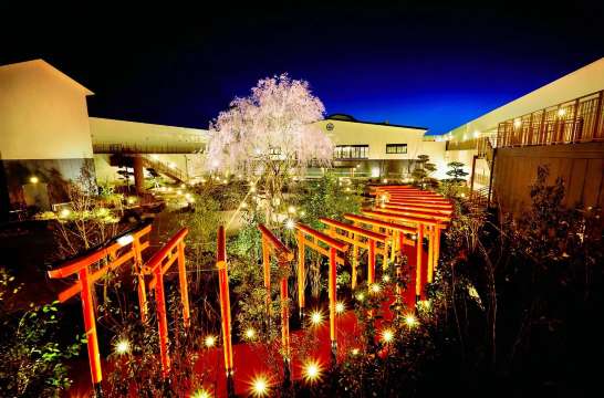 天空庭園千本鳥居夜景