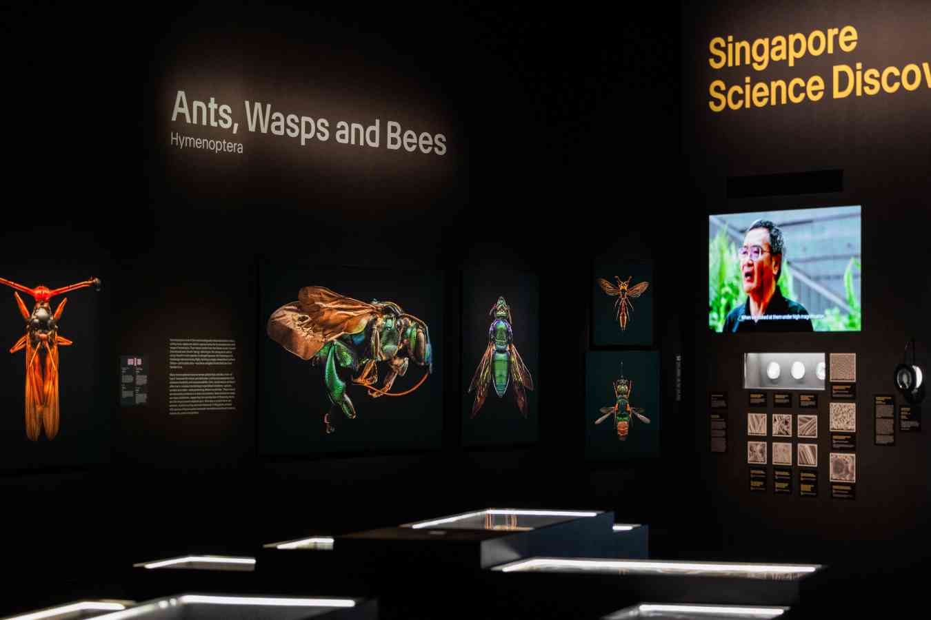 อาร์ตไซเอนซ์ มิวเซียม (ArtScience Museum)