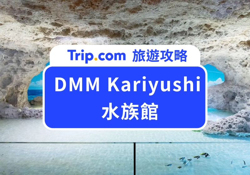 DMM Kariyushi 水族館｜網友評價最美的沉浸式沖繩水族館！門票交通、必玩體驗、附近景點全攻略