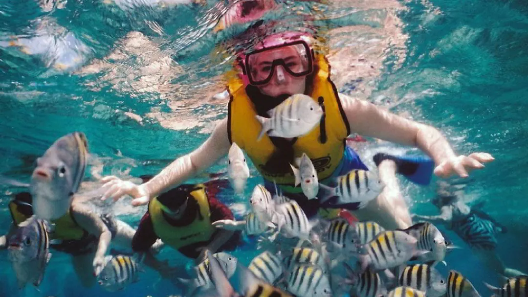 pictures with the fishes