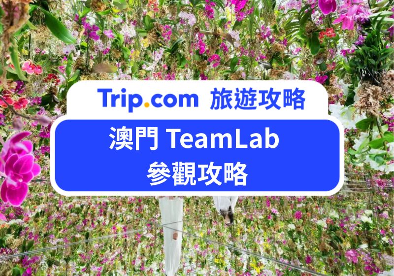 澳門teamLab 參觀攻略
