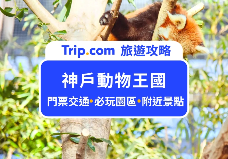 2025 神戶動物王國門票、交通、園區攻略，近距離觀賞瀕危小熊貓、鯨頭鸛、兔猻