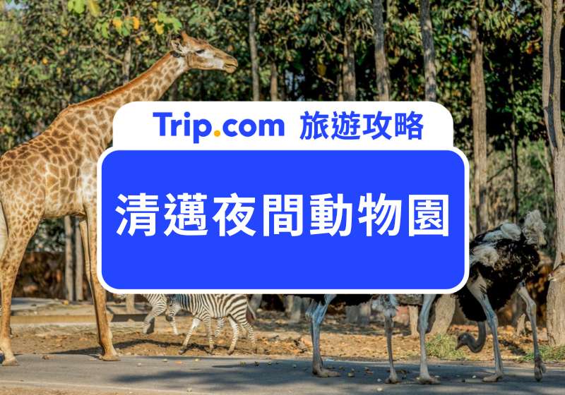 清邁夜間動物園