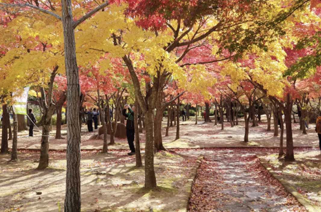 대구 근교 여행 추천