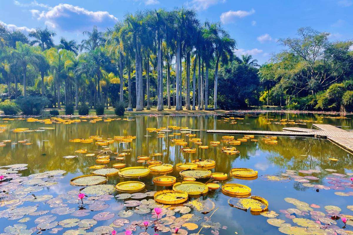 Xishuangbanna Tropical Botanical Garden