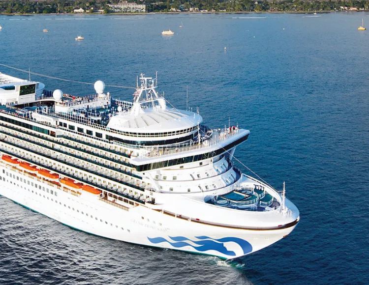 Does Qantas Travel Insurance Cover Cruises?