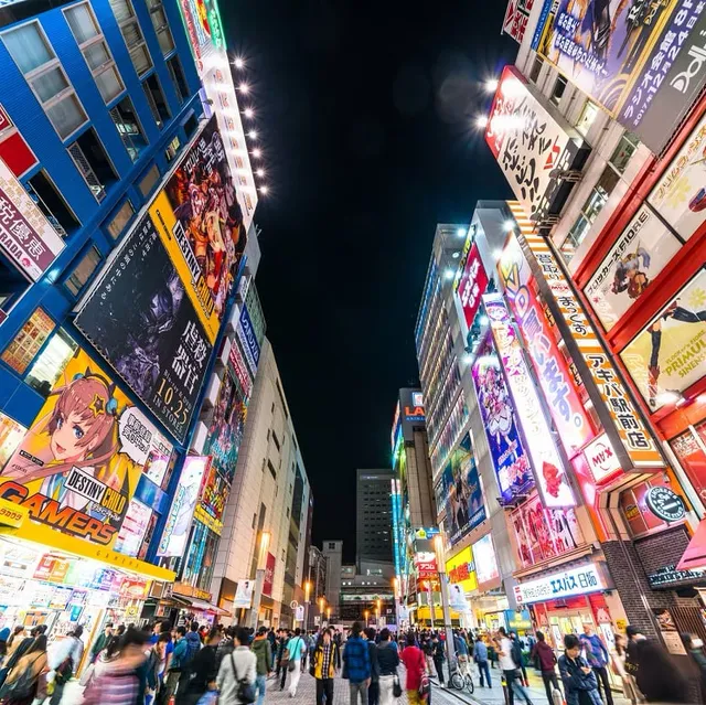 東京夜市, 秋葉原