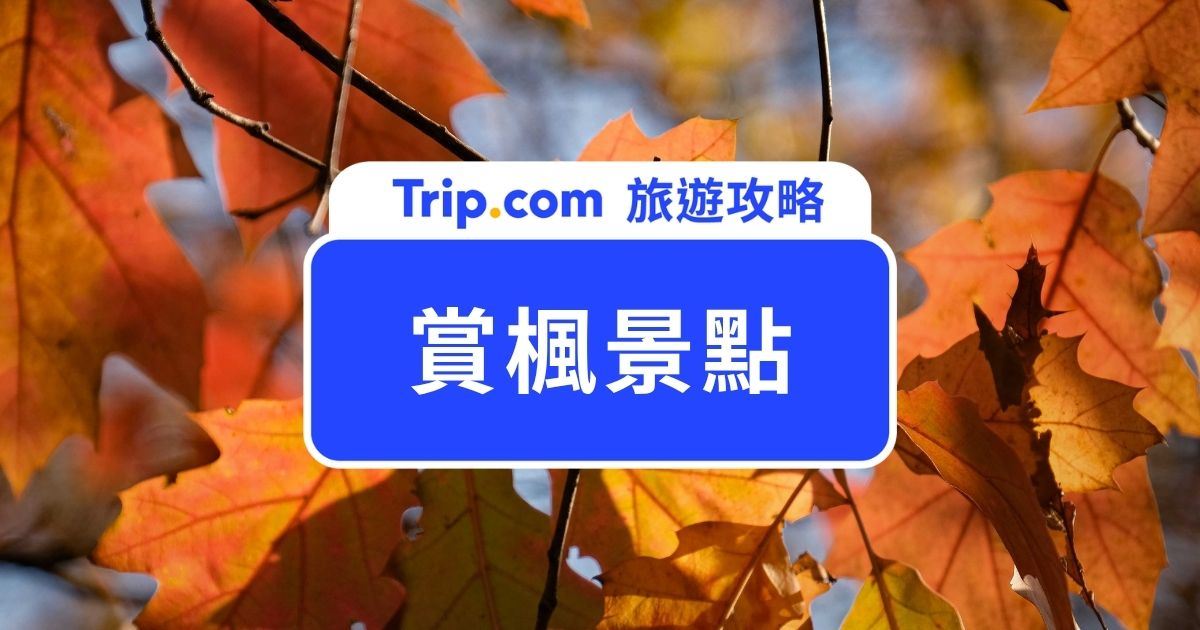 【2026 賞楓景點推薦】台灣、日本、韓國 15 個賞楓勝地、不可不知的賞楓行前準備！ | Trip.com